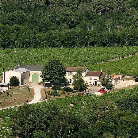 Domaine De Grand Homme Hotell Bordeaux Exteriör bild
