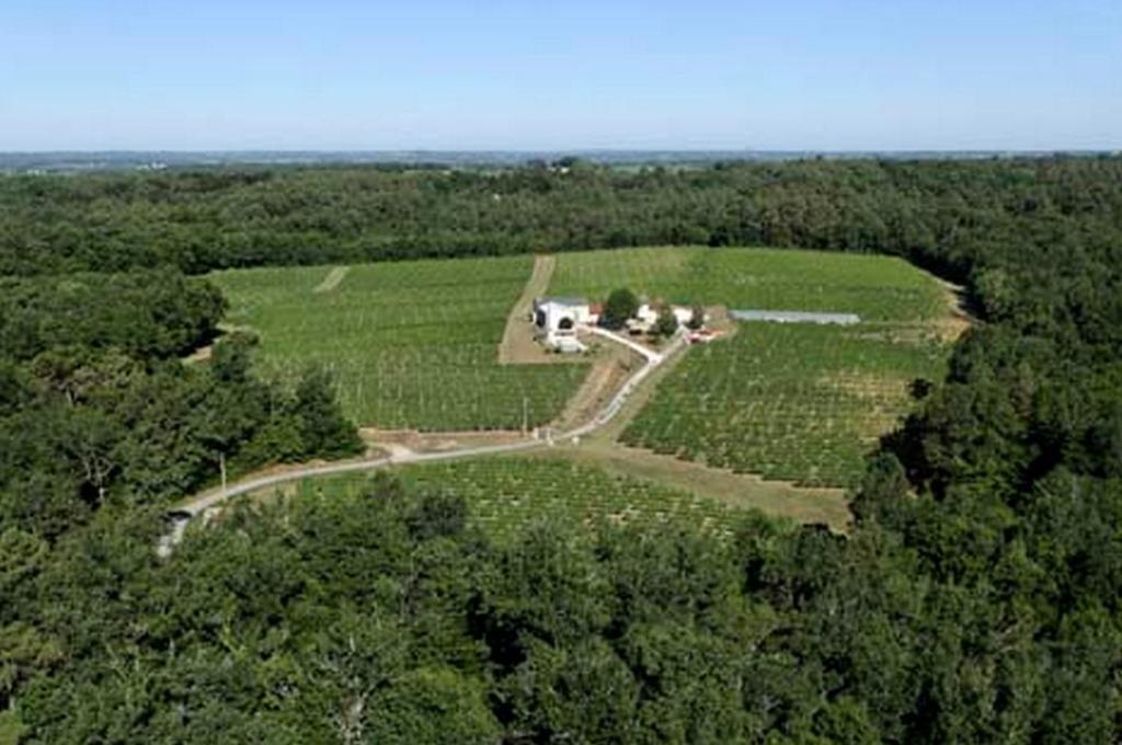 Domaine De Grand Homme Hotell Bordeaux Exteriör bild